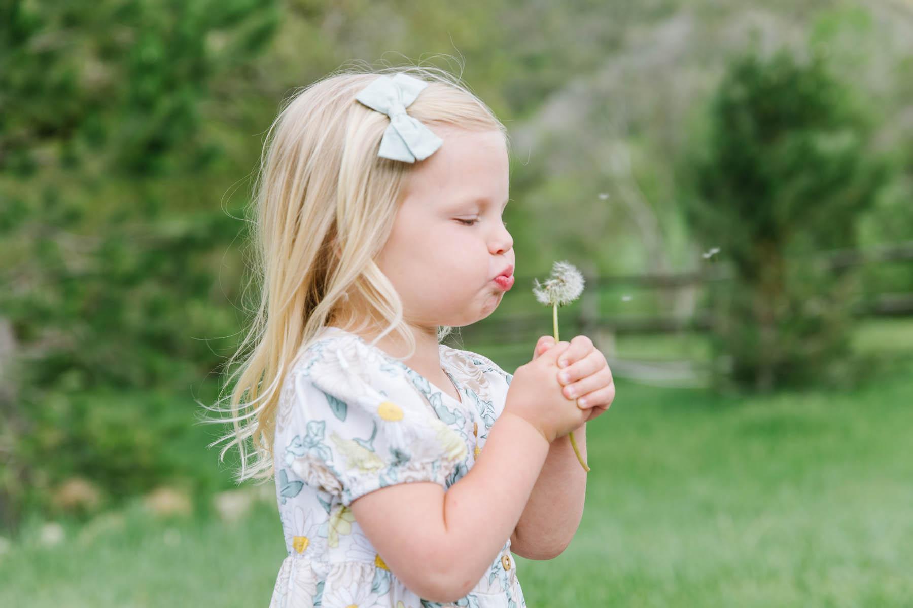 Meredith Carlson Photography