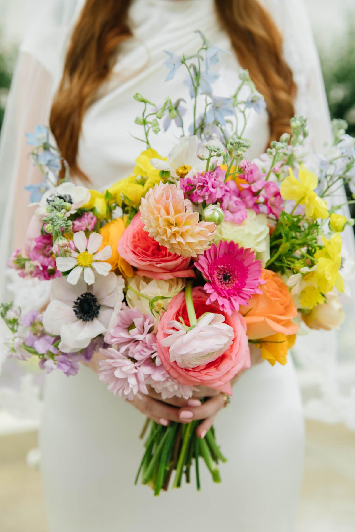 Meredith Carlson Photography